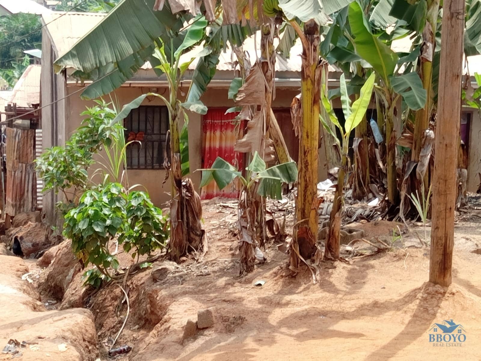 Single room to rent at Eleveur Mballa  — photo 3