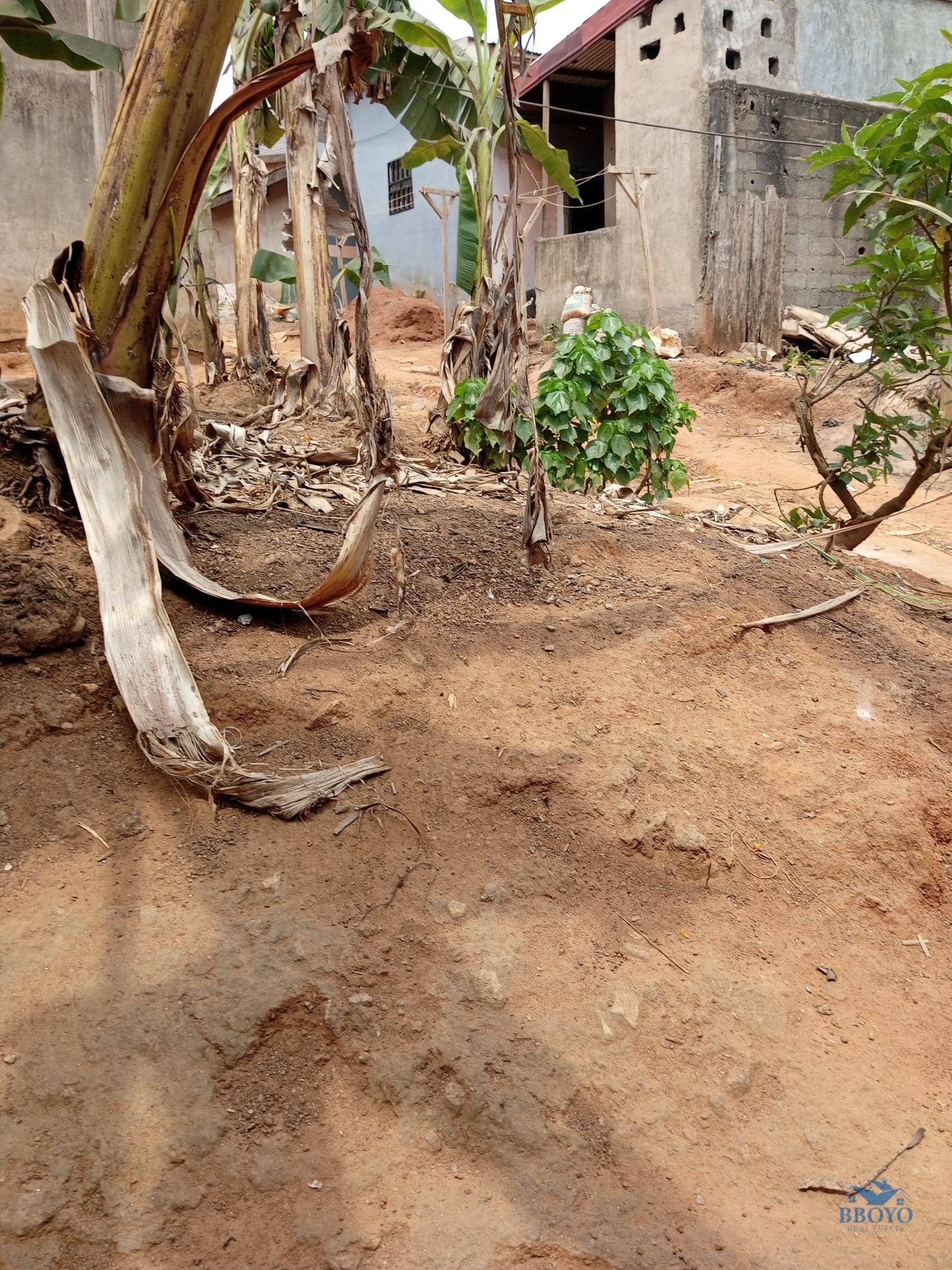 Single room to rent at Eleveur Mballa  — photo 5