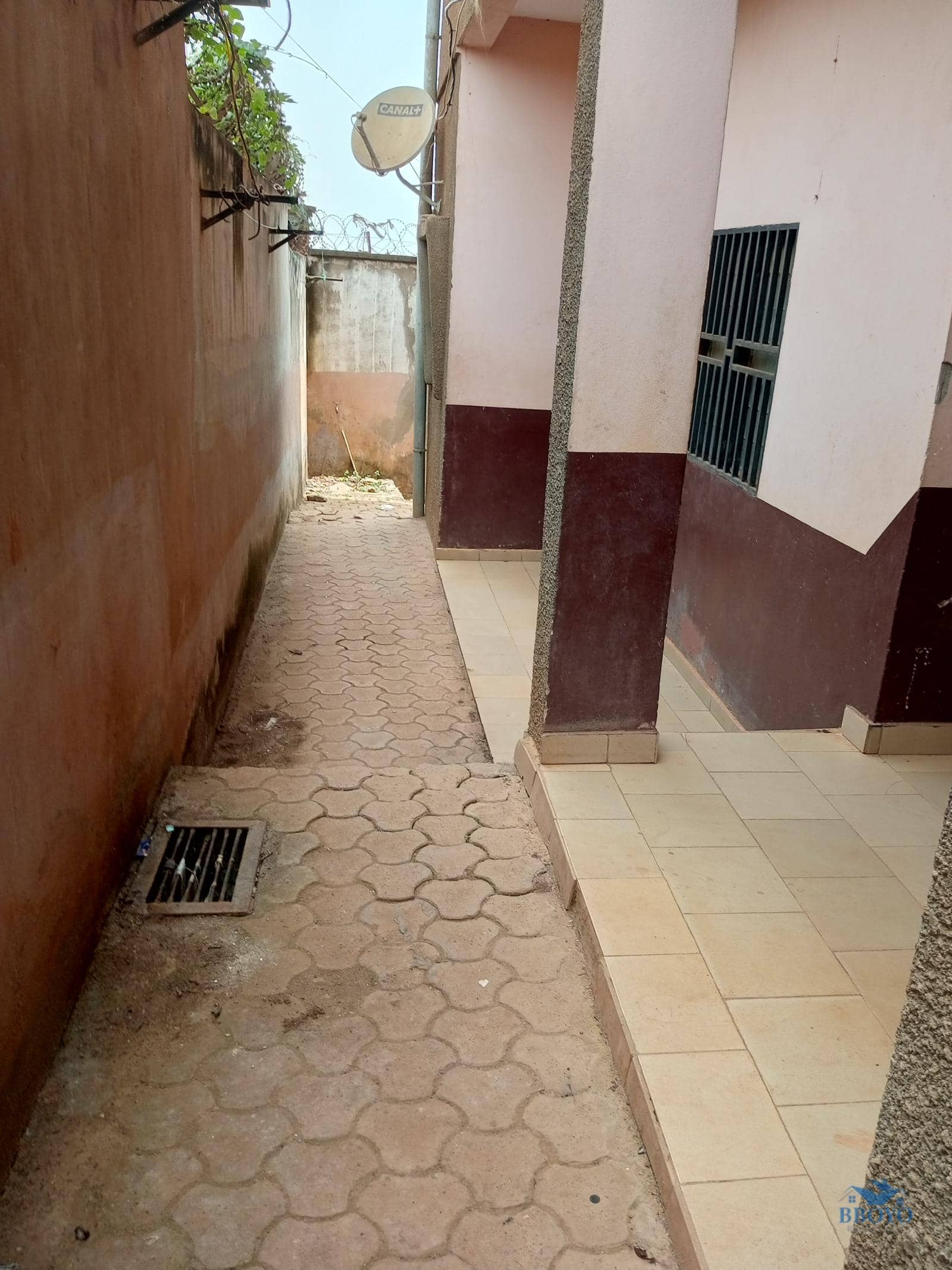 Modern studio to rent at Eleveur Mballa  — photo 3