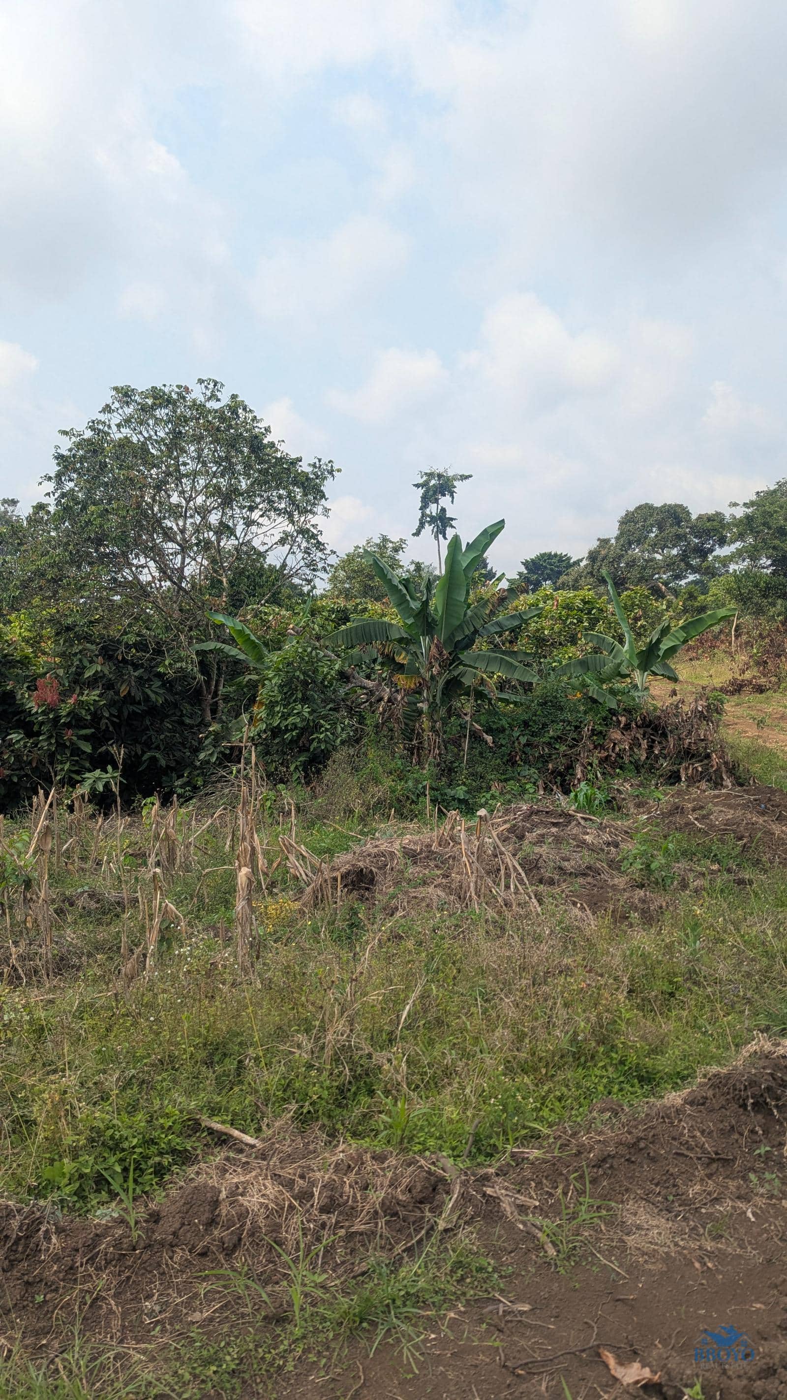land Property  — photo 3