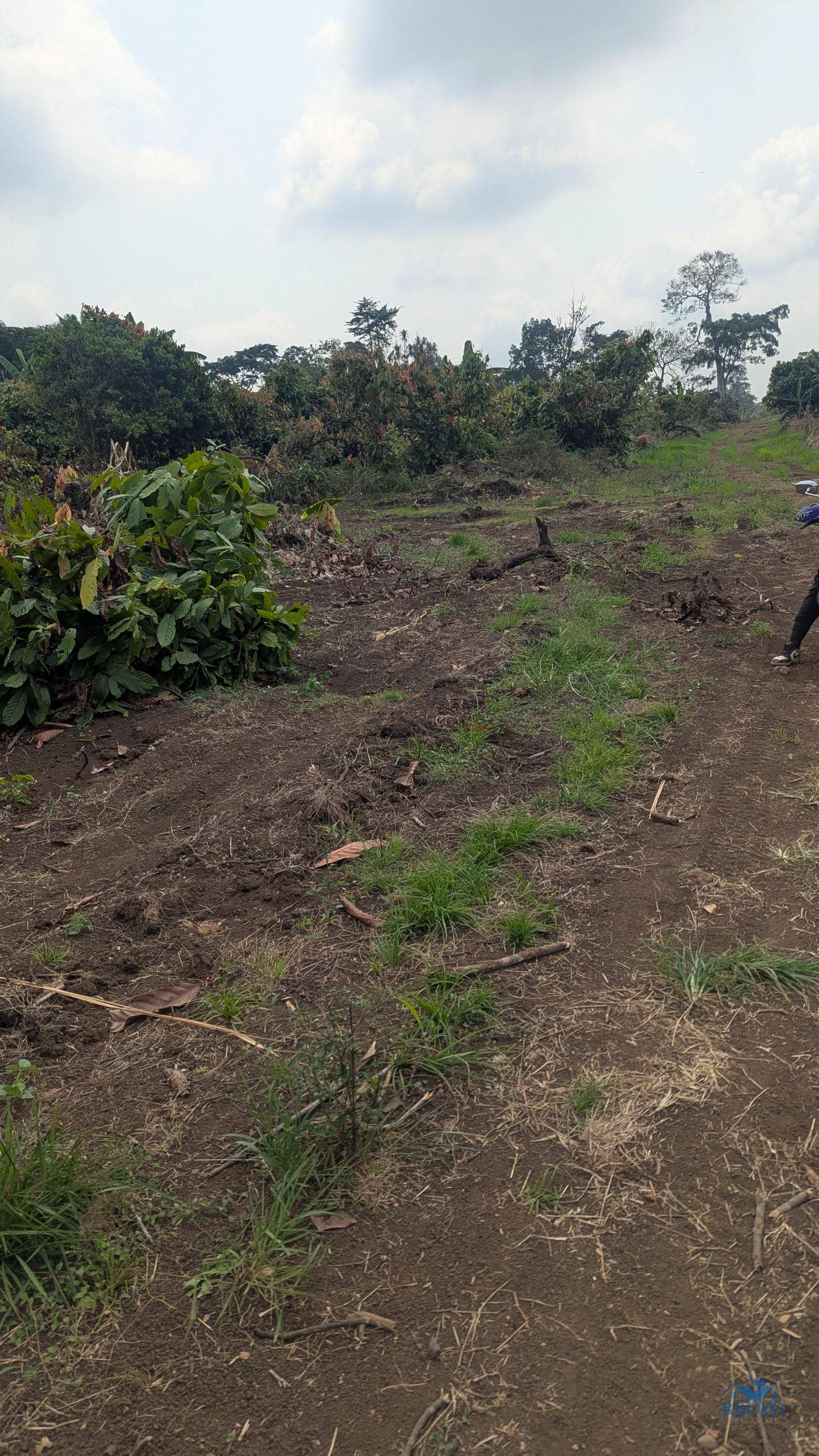 land Property 
