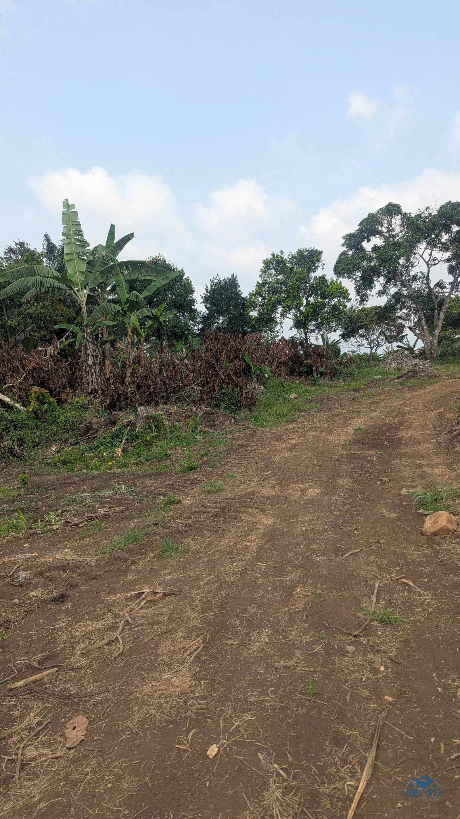 land Property  — photo 2