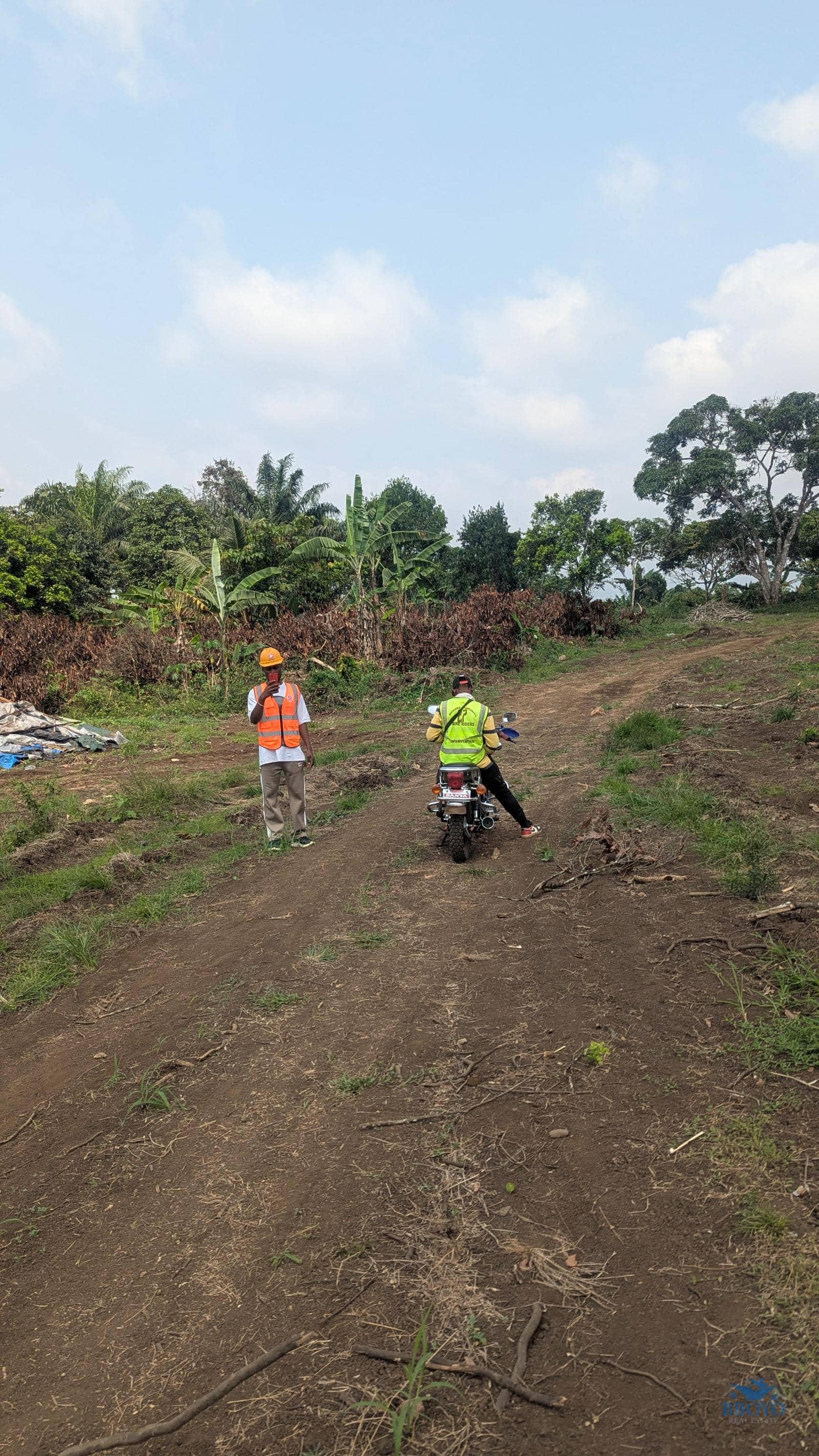 land Property  — photo 6
