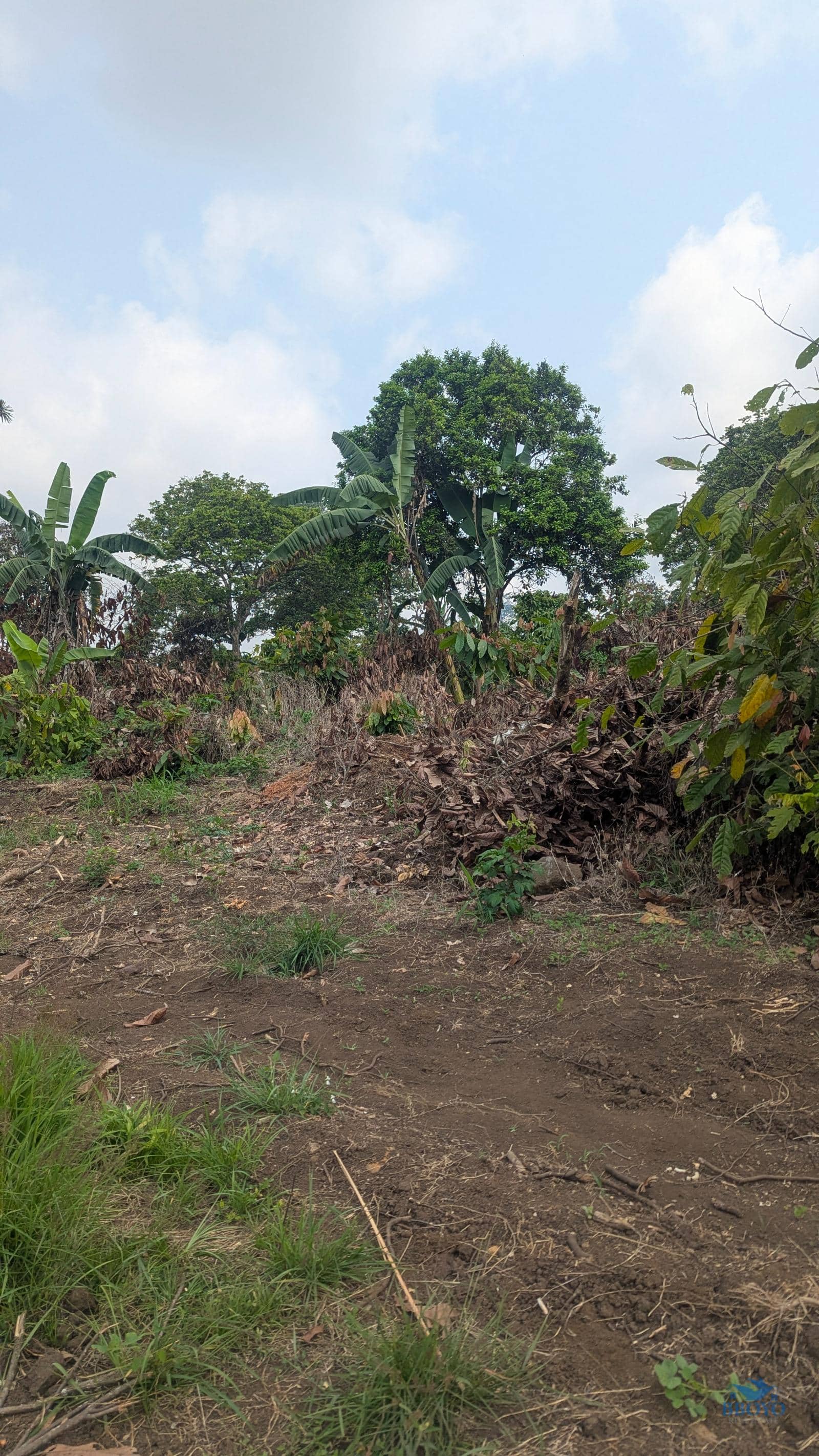 land Property  — photo 5