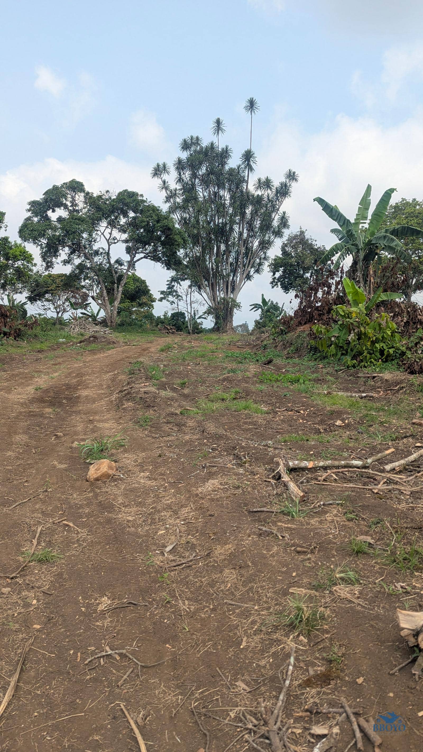 land Property  — photo 7
