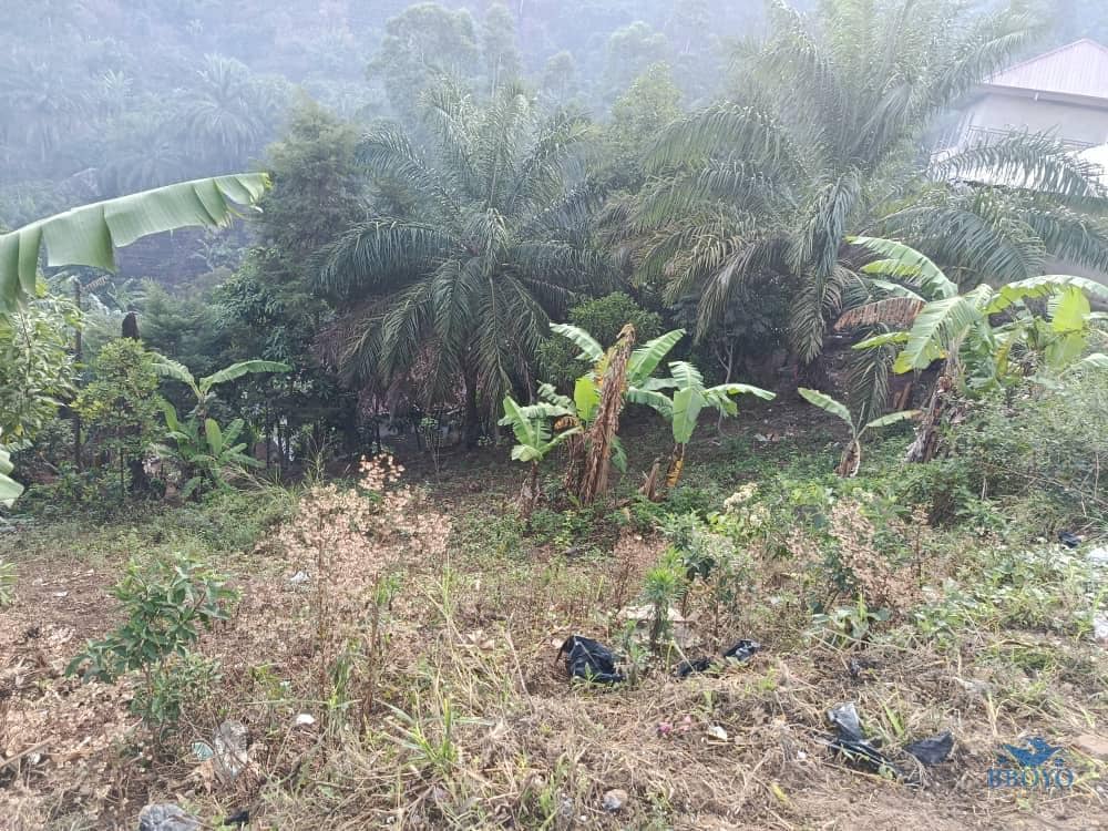 NangFack's legacy  — photo 2
