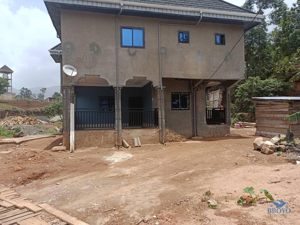 Mr Albert's House 