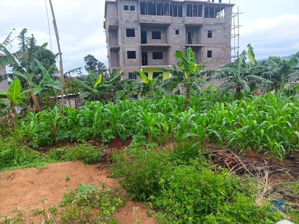 Plot Area, 500m2  standing 