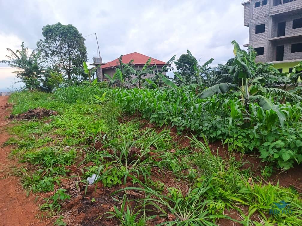 Plot Area, 500m2  standing  — photo 2