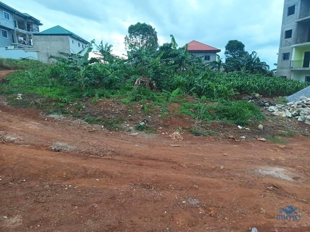 Plot Area, 500m2  standing  — photo 5