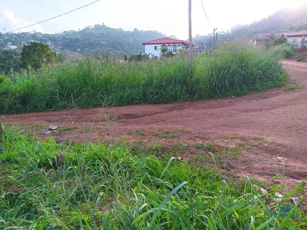 1000m2 prime land available  — photo 2