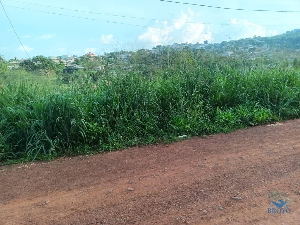1000m2 prime land available  — photo 4