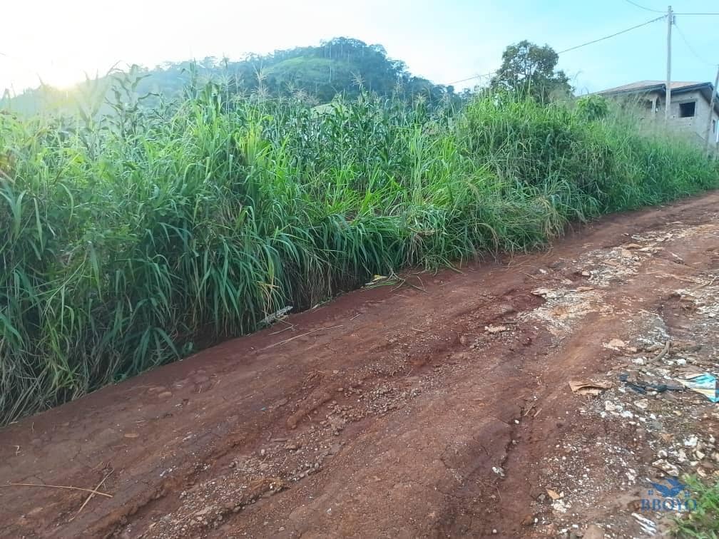 1000m2 prime land available  — photo 5