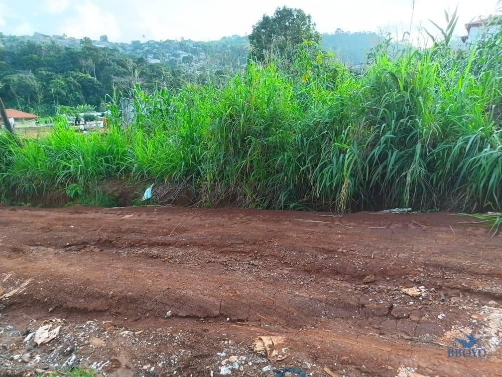 1000m2 prime land available  — photo 7
