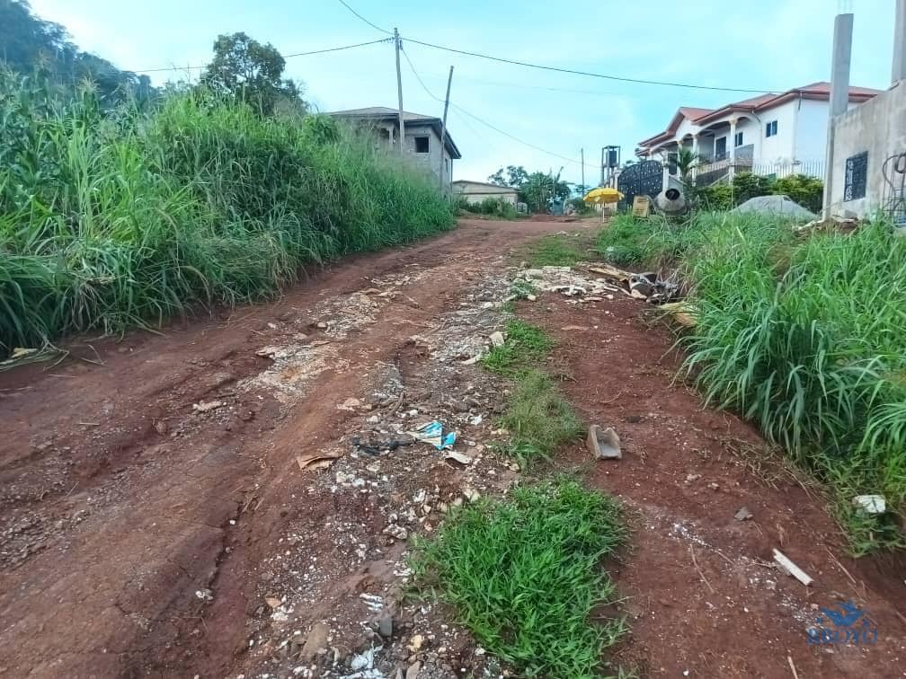 1000m2 prime land available  — photo 6