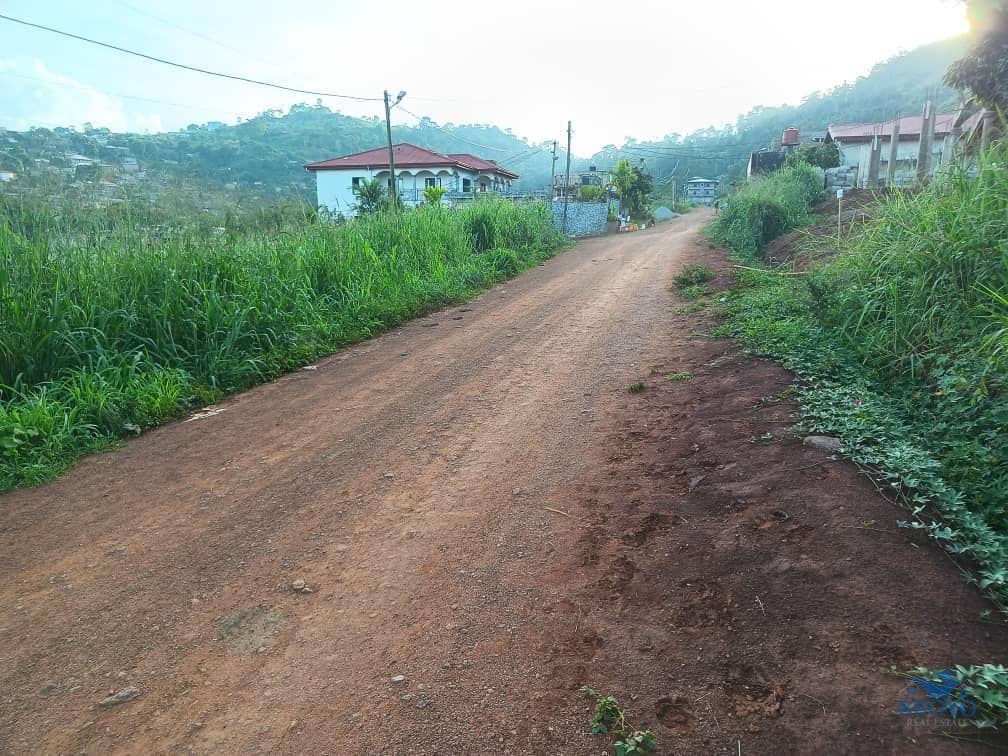 1000m2 prime land available  — photo 3