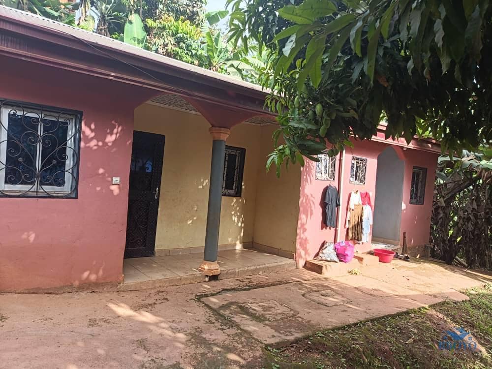 Mami Claris Bungalow 