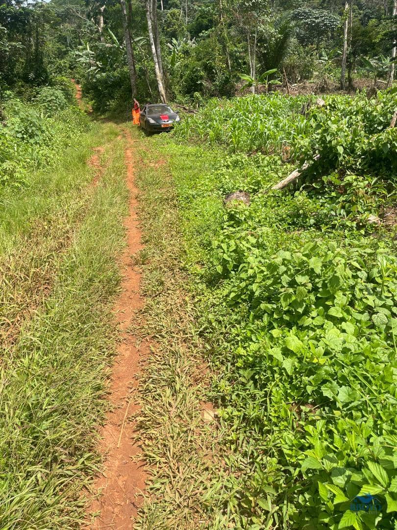 Premium Land for sale in Yaoundé  — photo 2