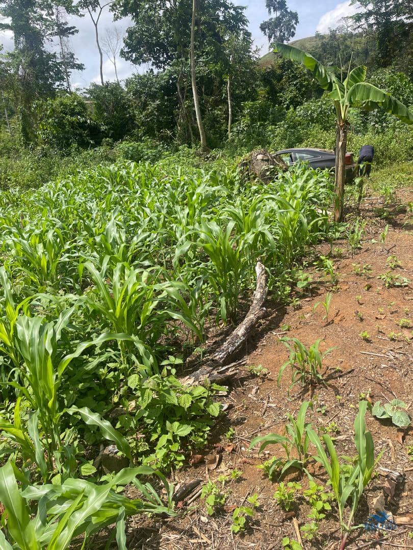 Premium Land for sale in Yaoundé 