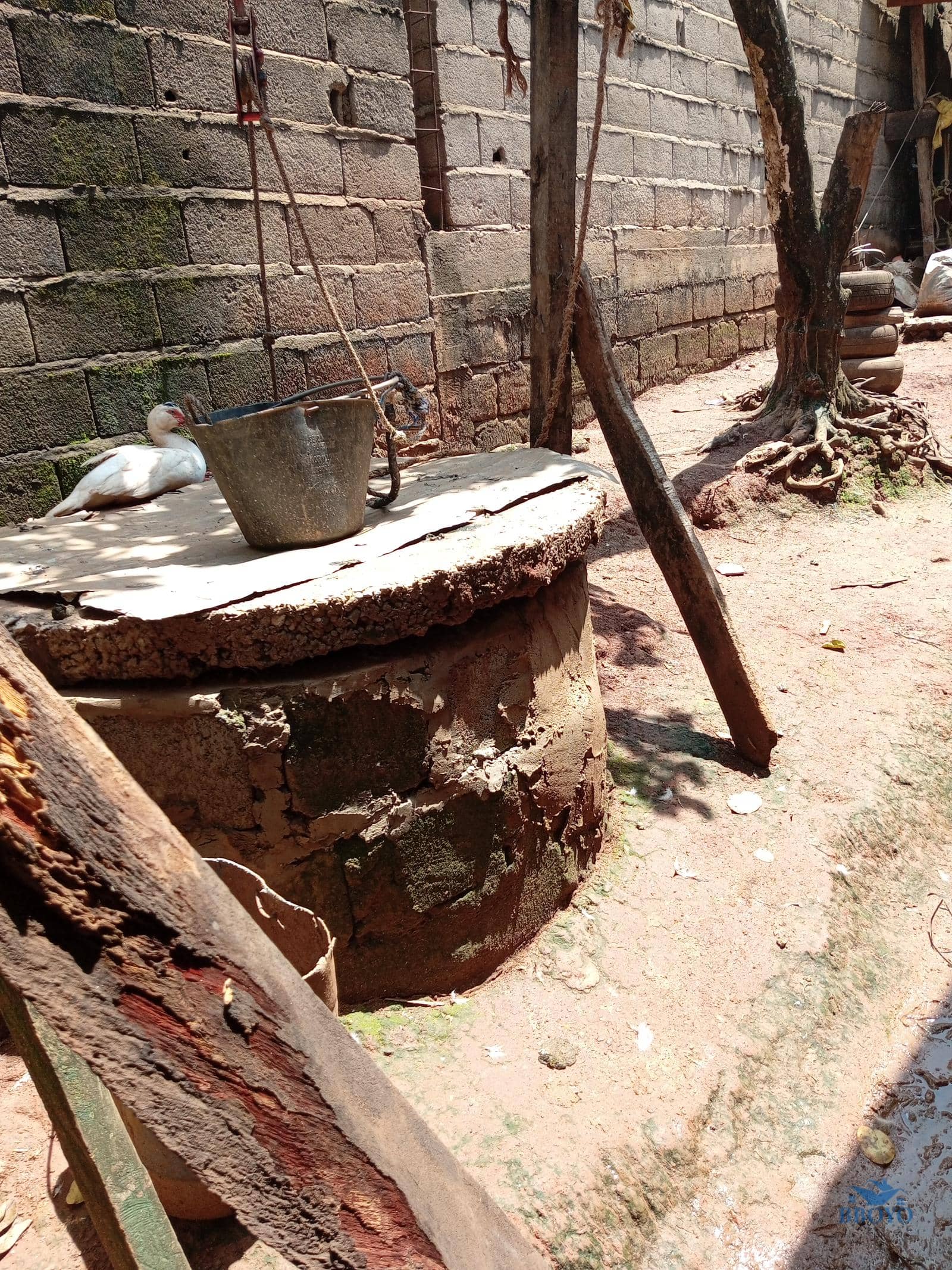 Single room to rent at Eleveur Mballa  — photo 2