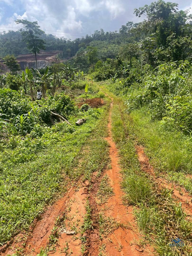 Premium Land for sale in Yaoundé  — photo 5