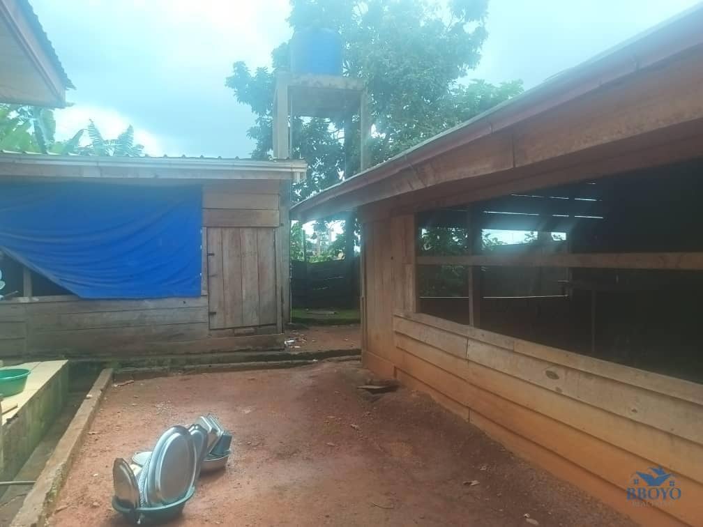 House and plot standing 866m2 — photo 4