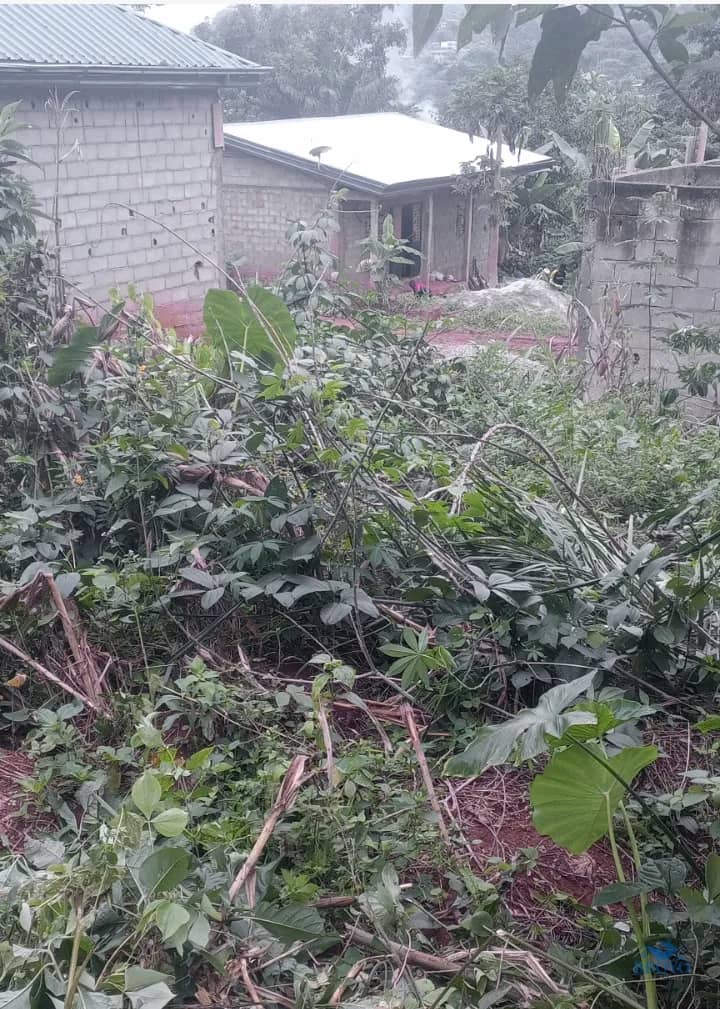 150m² cheap Land on sale in Yaoundé  — photo 2