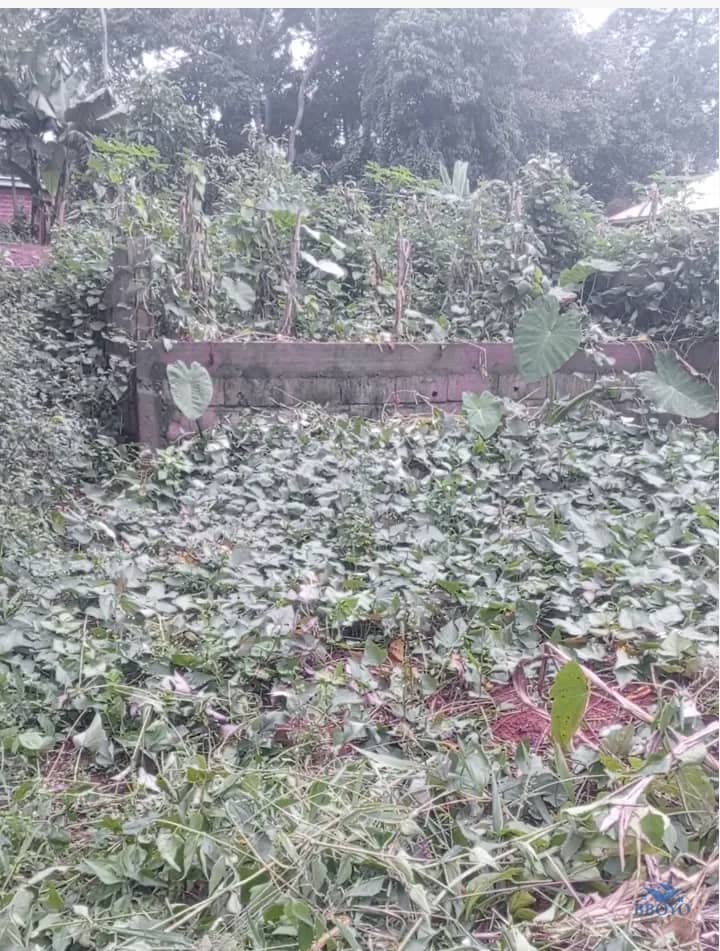 150m² cheap Land on sale in Yaoundé  — photo 3