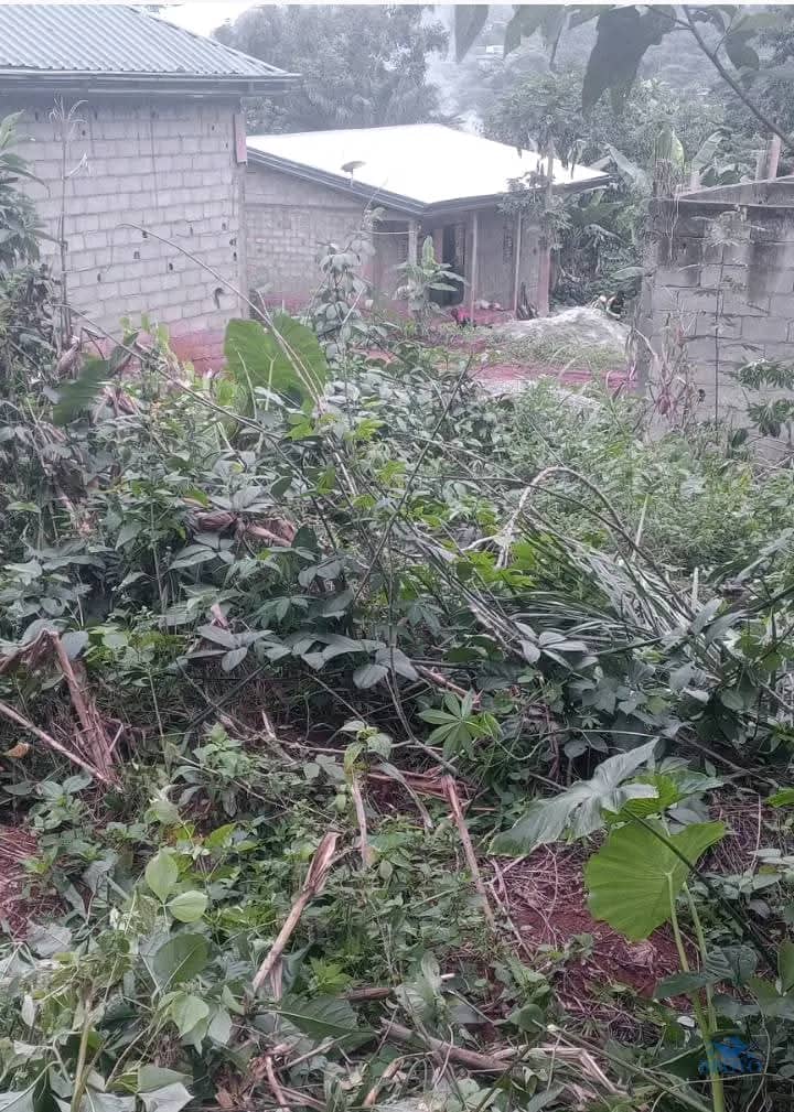 150m² cheap Land on sale in Yaoundé 