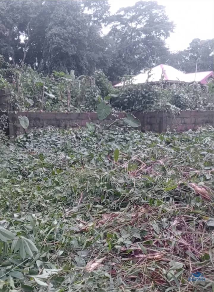 150m² cheap Land on sale in Yaoundé  — photo 5