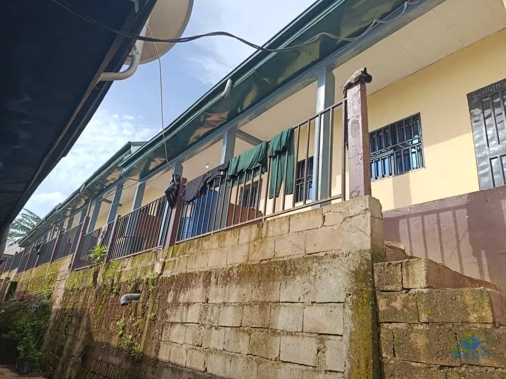 Bobe Linus's Compound 