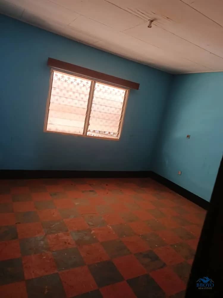 Bobe Linus's Compound  — photo 4