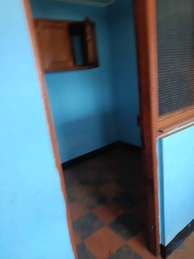 Bobe Linus's Compound  — photo 5
