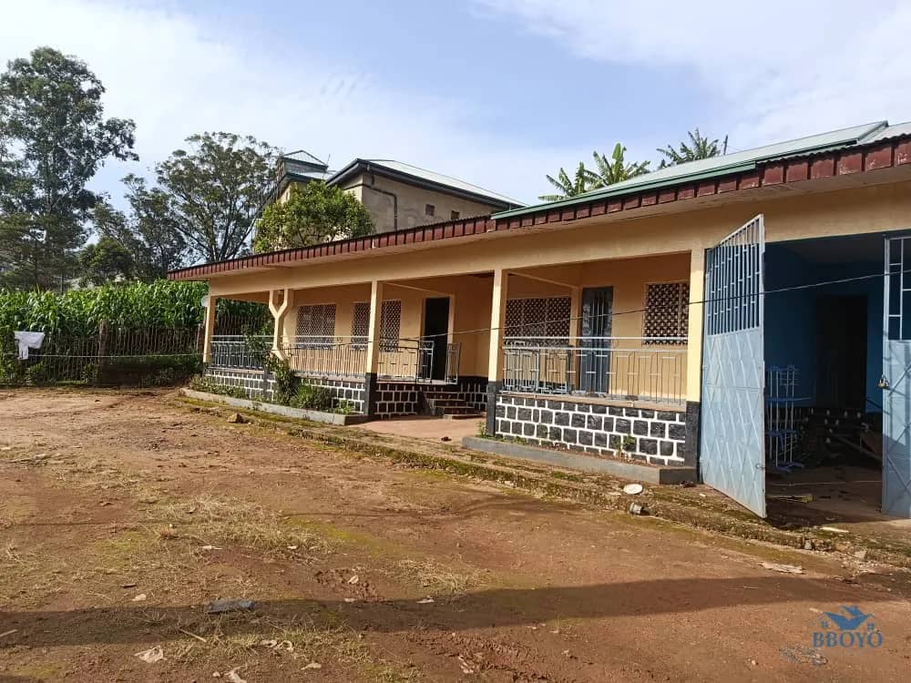 Bobe Linus's Compound 