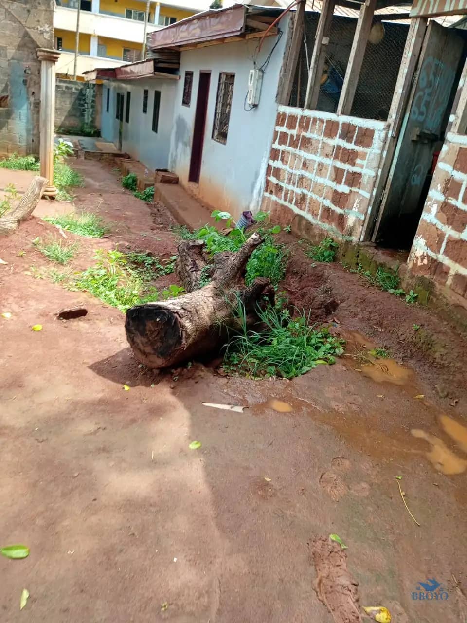 House at Eleveur Mballa 