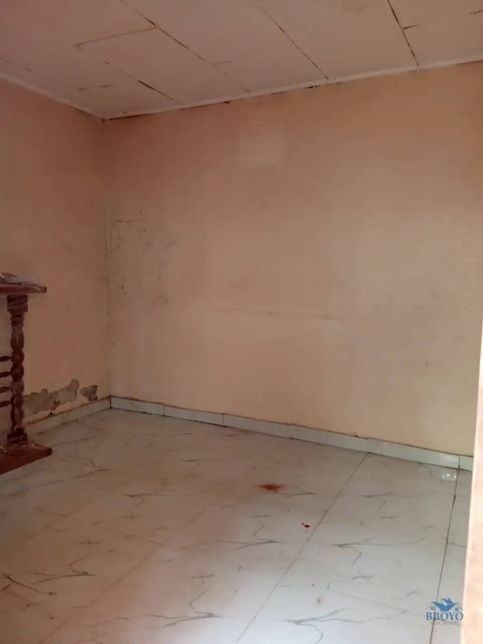 Simple studio at Eleveur Mballa  — photo 5