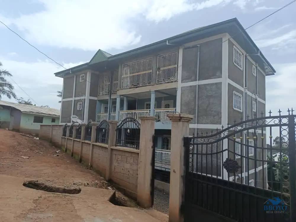 Mr Ivo's Building 