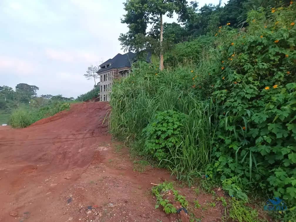 Plot Area, 500m2 