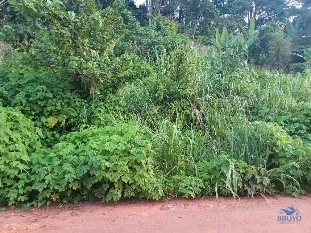 Plot Area, 500m2  — photo 5