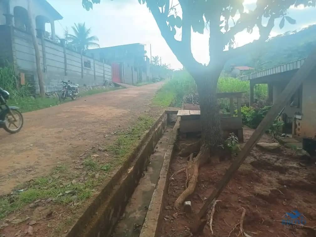An Amazing House and plot standing  — photo 3