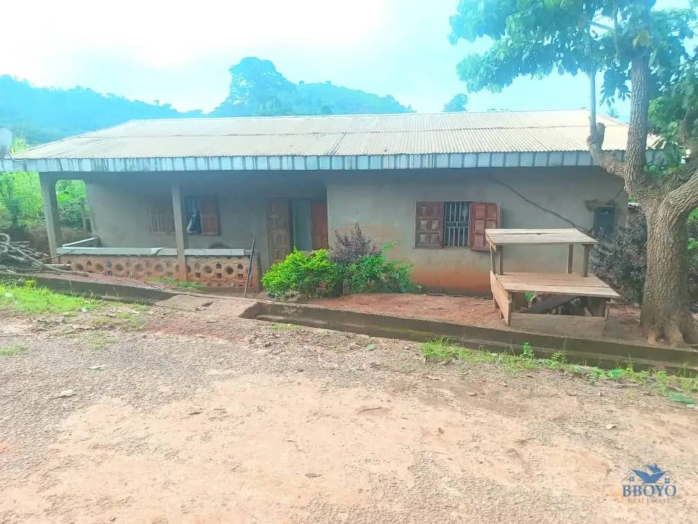 An Amazing House and plot standing 
