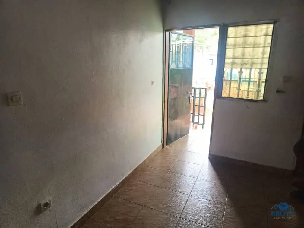 Modern studio available  — photo 4