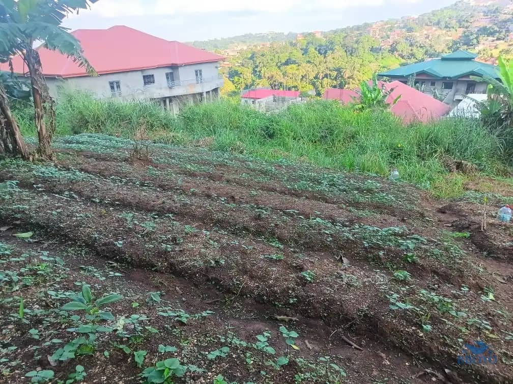 Plot Area, 250m2 