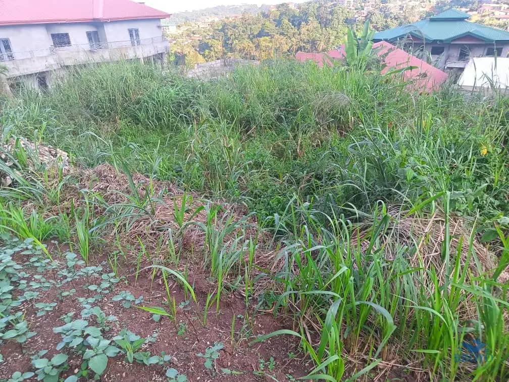 Plot Area, 250m2  — photo 5