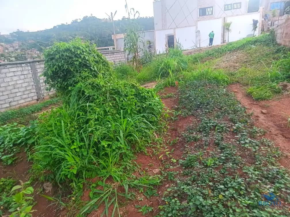 Plot Area, 320m2  — photo 3