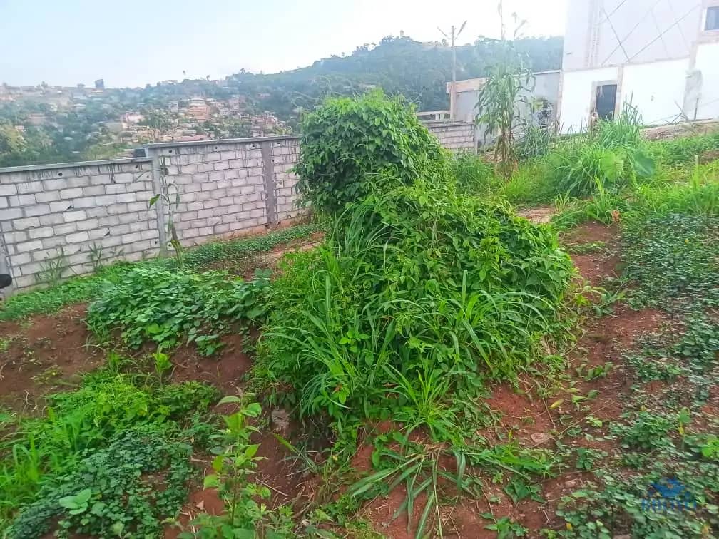 Plot Area, 320m2  — photo 5