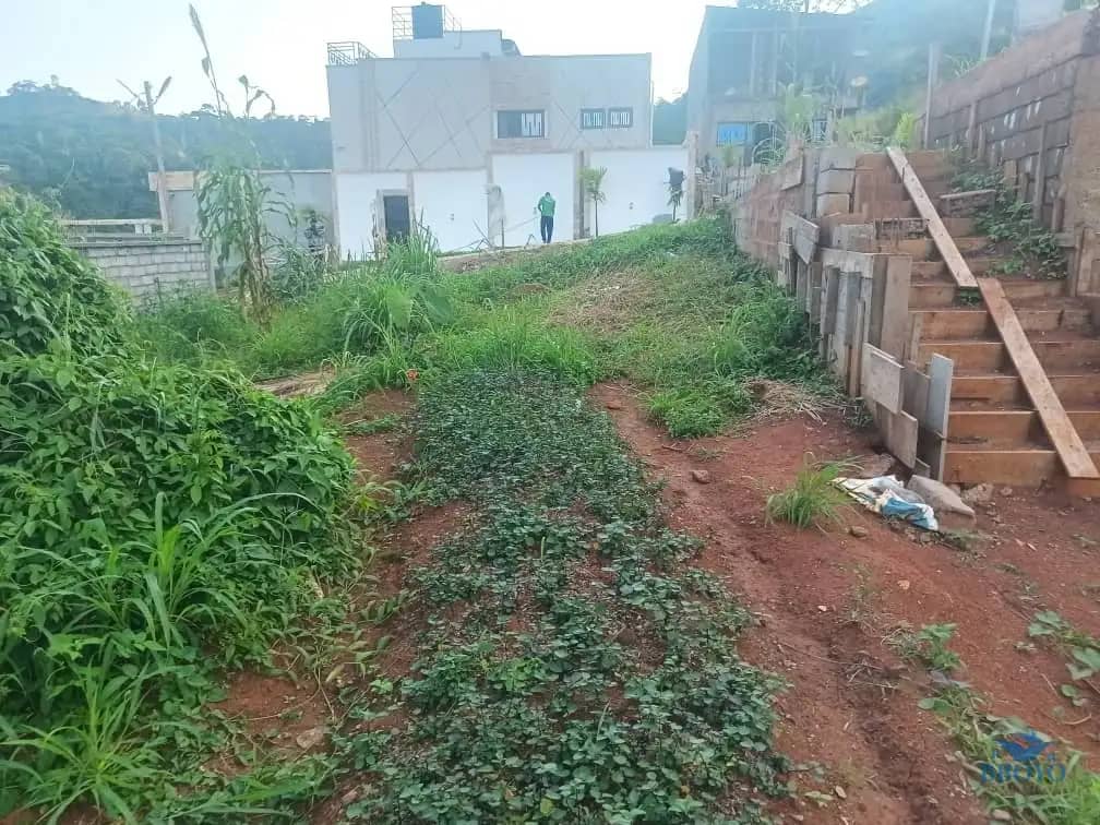 Plot Area, 320m2  — photo 6