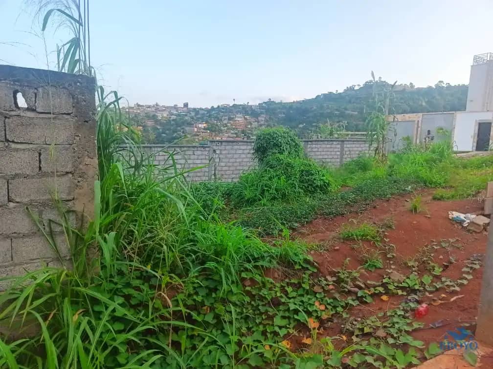 Plot Area, 320m2  — photo 4