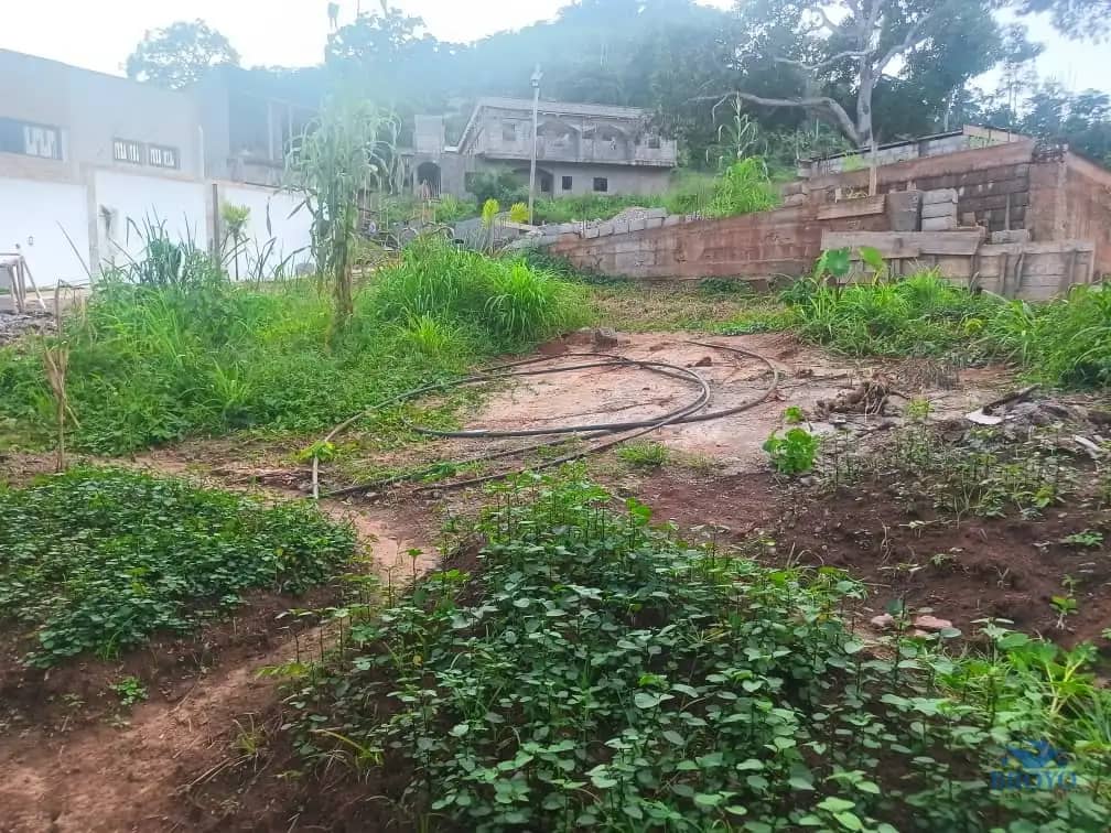 Plot Area, 320m2 
