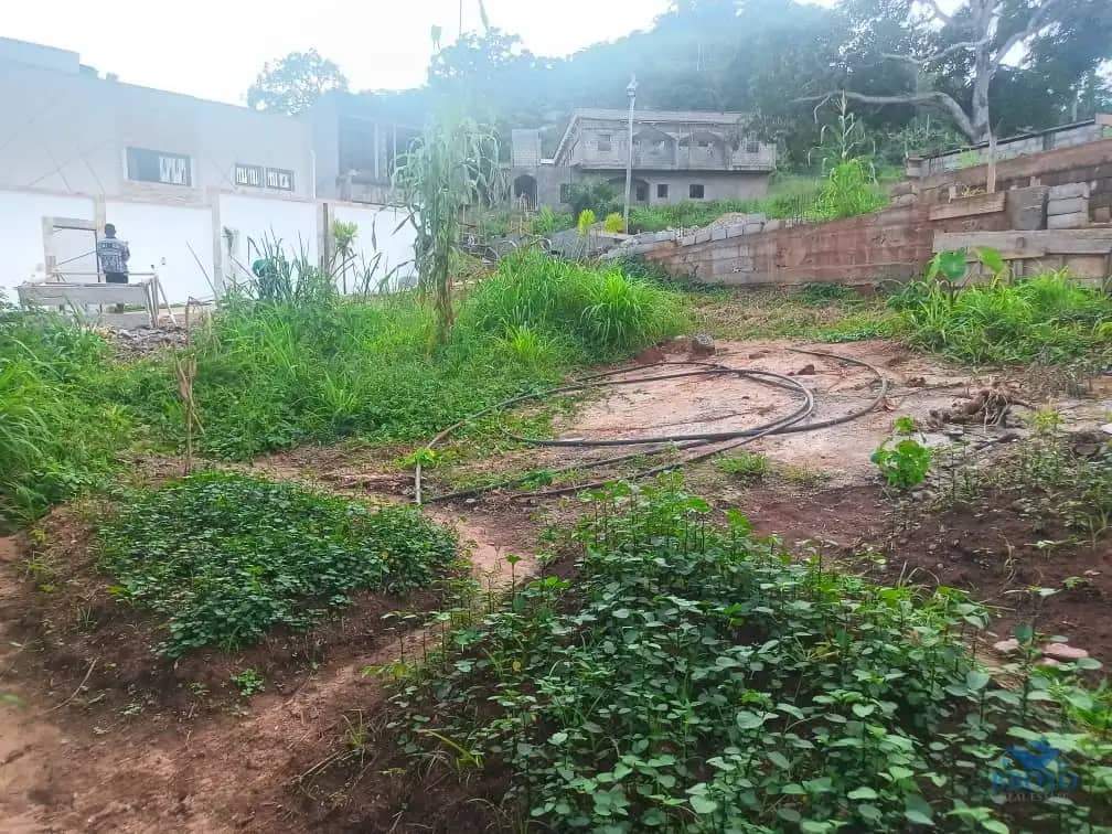 Plot Area, 320m2  — photo 2